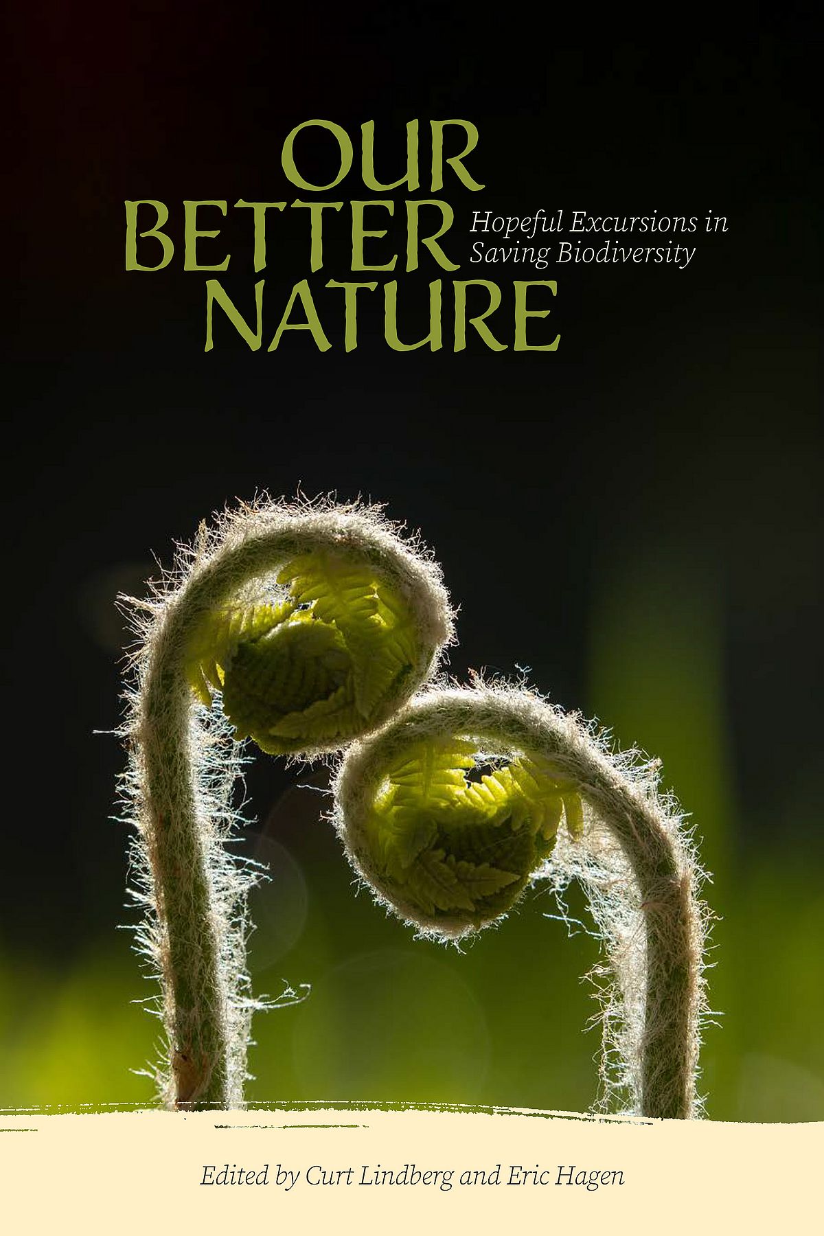 our-better-nature-book-celebration-richmond-free-library-vt